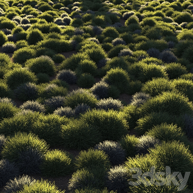 Round grass 3DS Max - thumbnail 2