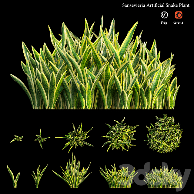 Sansevieria artificial snake plant 3DS Max Model - thumbnail 2