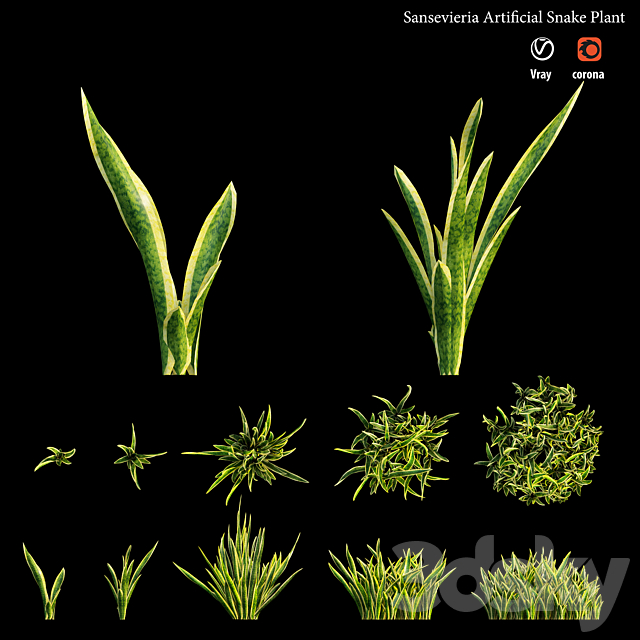 Sansevieria artificial snake plant 3DS Max Model - thumbnail 5