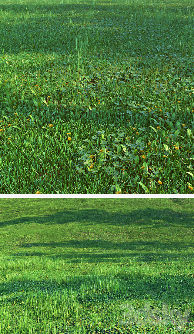 Set for the creation of field grass and lawns 3DS Max Model - thumbnail 2