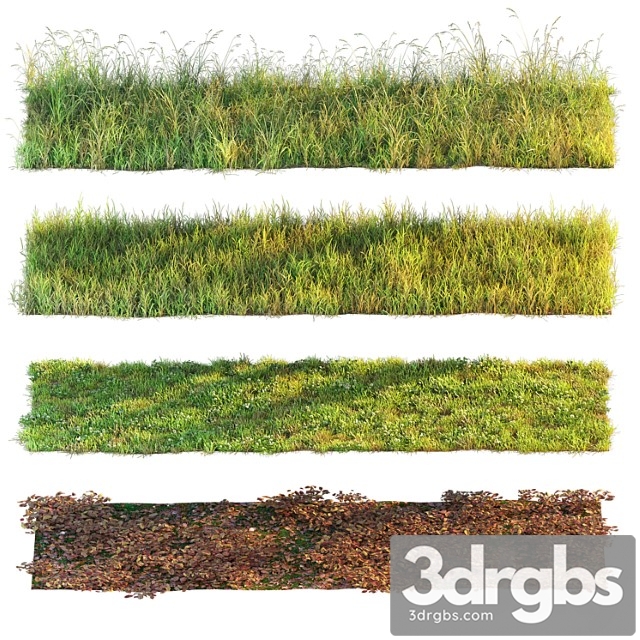 Set of Grass and Leaves 3dsmax Download - thumbnail 1