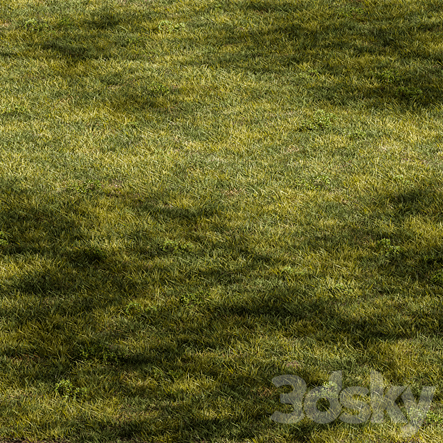 Short Grass Set 31 3ds Max - thumbnail 1