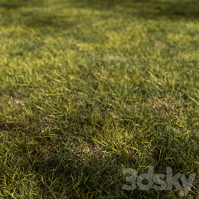 Short Grass Set 31 3ds Max - thumbnail 2