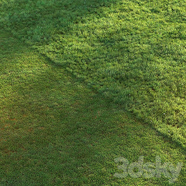 Sports turf 3DS Max Model - thumbnail 2