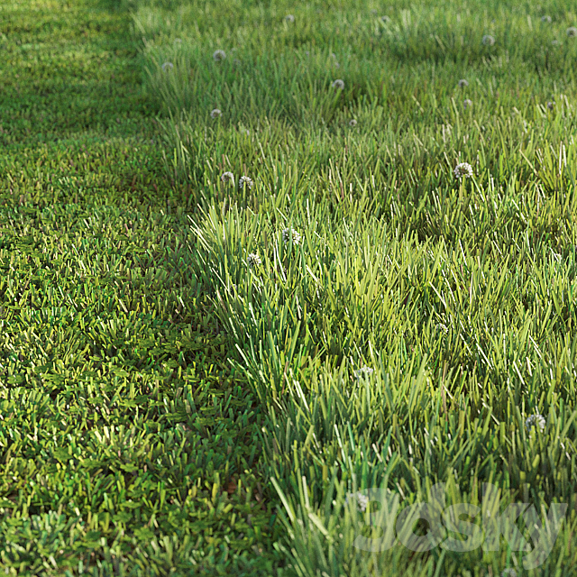 Sports turf 3DS Max Model - thumbnail 3