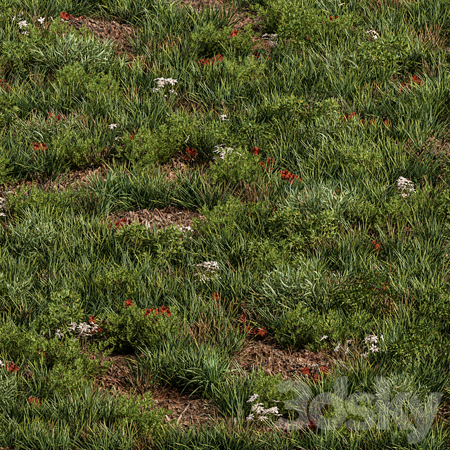 Spring Grass – Grass Set 07 3ds Max - thumbnail 1