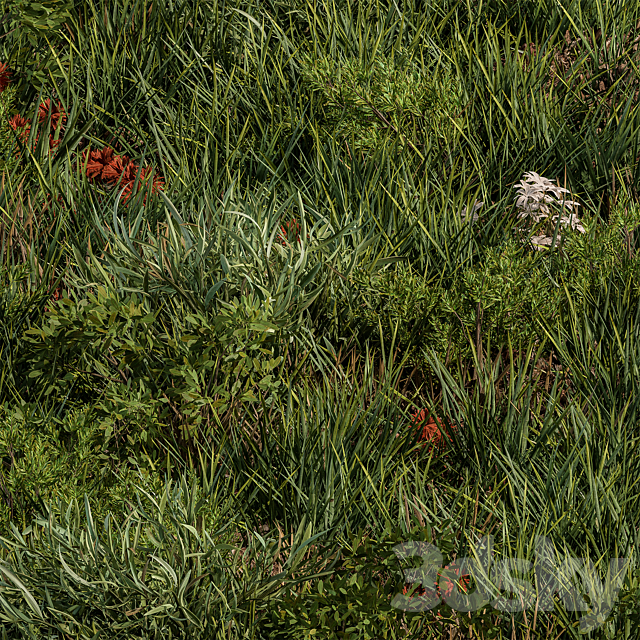 Spring Grass – Grass Set 07 3ds Max - thumbnail 2