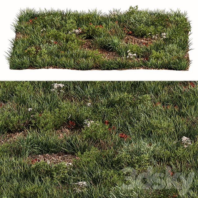 Spring Grass – Grass Set 07 3ds Max - thumbnail 3