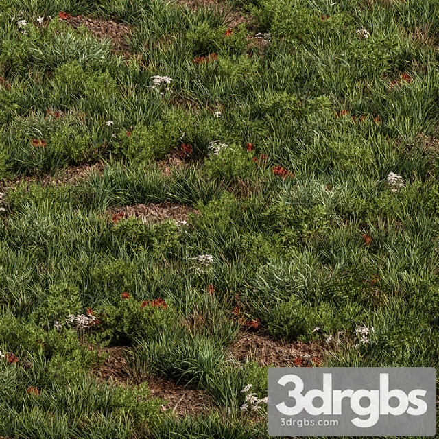 Spring grass – grass set 07 - thumbnail 1