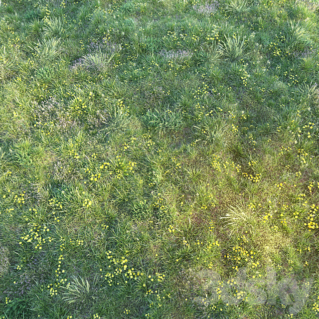 Spring grass with dandelions 3ds Max - thumbnail 3