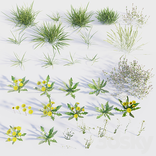 Spring grass with dandelions 3DS Max Model - thumbnail 4