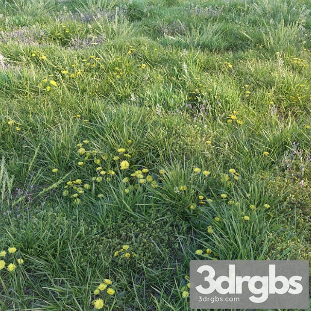 Spring Grass with Dandelions 3dsmax Download - thumbnail 1