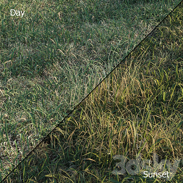 Spring meadow | grass 3DS Max Model - thumbnail 3