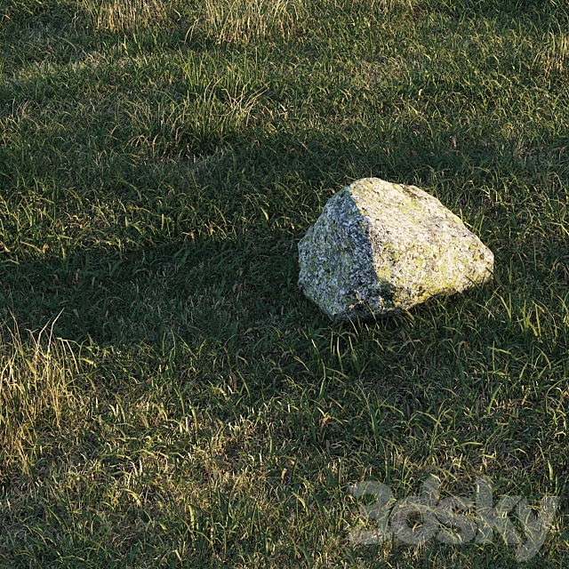 Spring meadow | grass 3DS Max Model - thumbnail 4