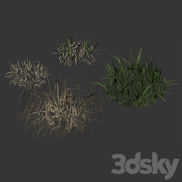 Spring meadow | grass 3DS Max Model - thumbnail 5