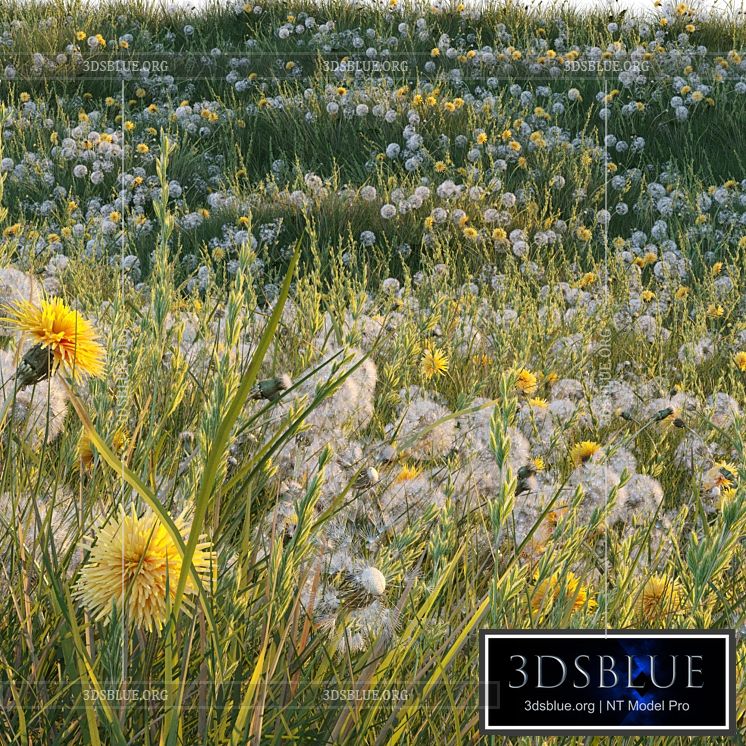 Spring summer field grass with white and yellow dandelions 3DS Max - thumbnail 3