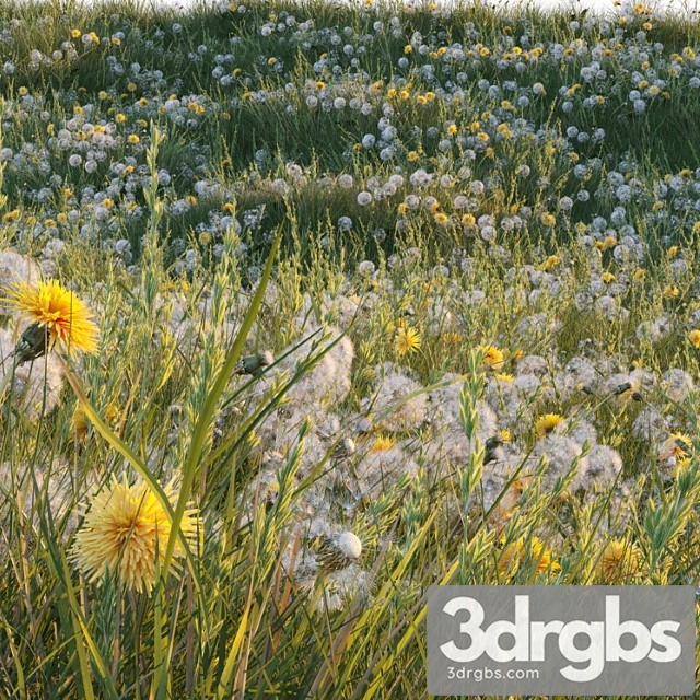 Spring summer field grass with white and yellow dandelions - thumbnail 1