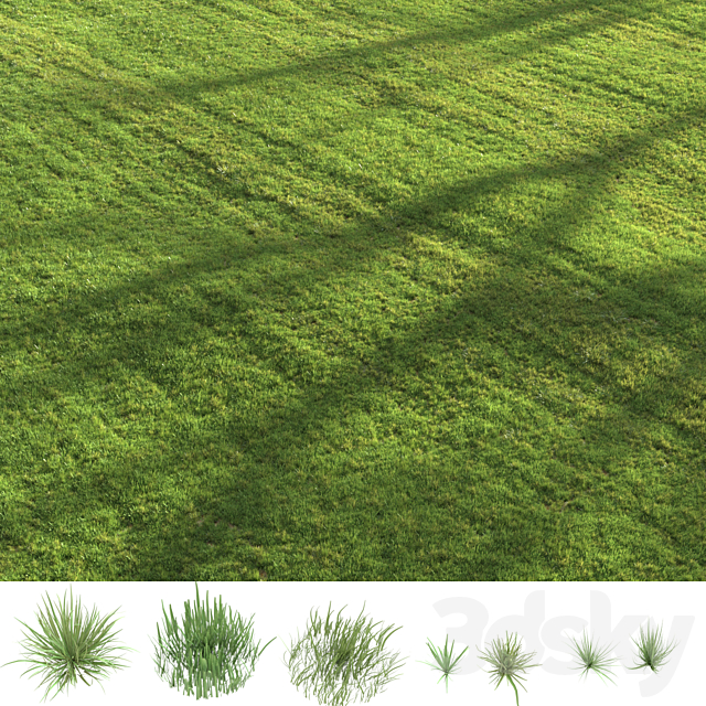 Summer grass 3DS Max Model - thumbnail 3