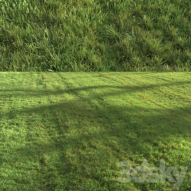 Summer grass 3DS Max Model - thumbnail 4