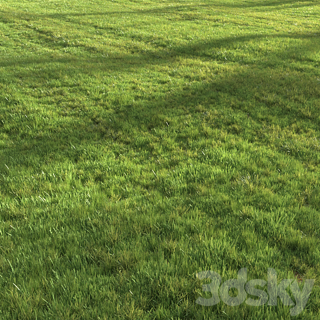 Summer grass 3DS Max Model - thumbnail 5