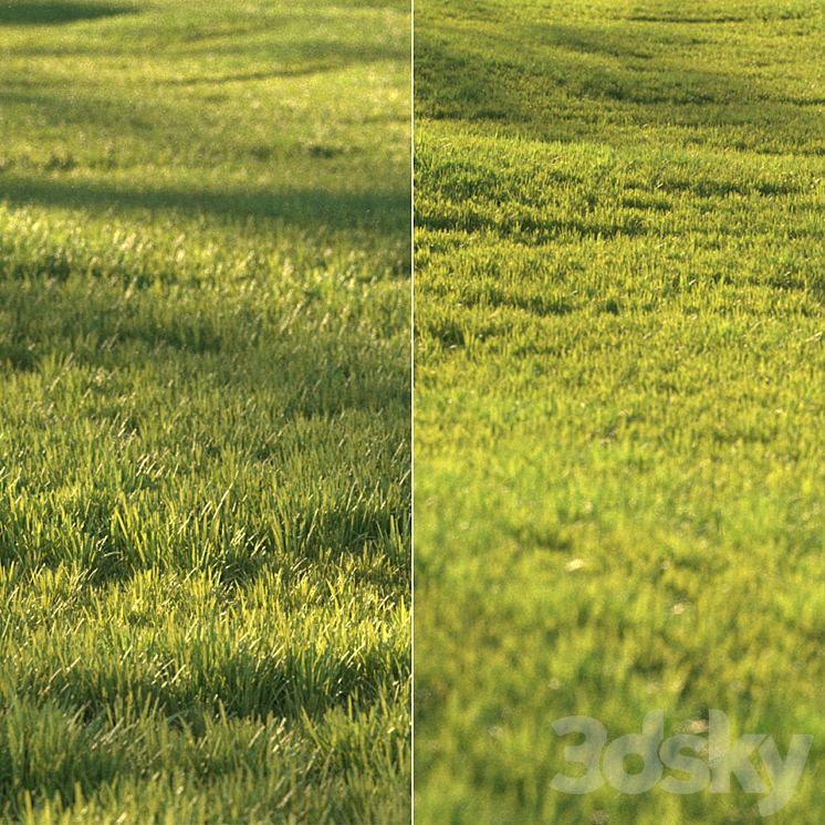 Sunny lawn 3DS Max - thumbnail 2
