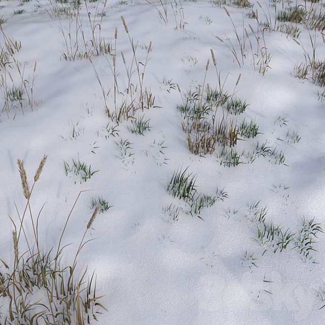 The grass under the snow 3ds Max - thumbnail 1