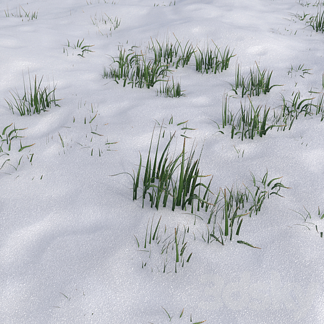 The grass under the snow 3ds Max - thumbnail 2