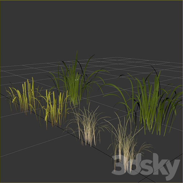 Uncut forest grass collection 03 3DS Max Model - thumbnail 5