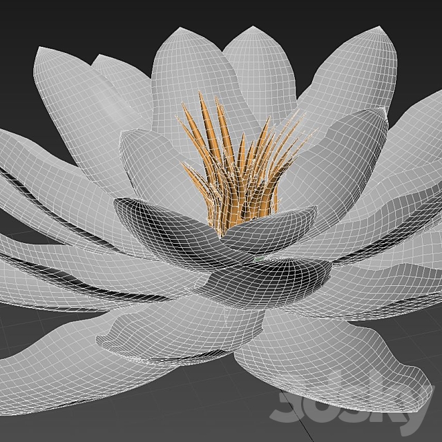 Water lily – Water lily 3DS Max Model - thumbnail 3