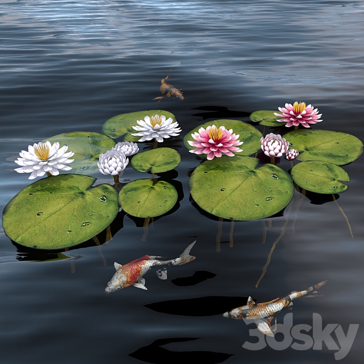 waterlily 2 3DS Max - thumbnail 1