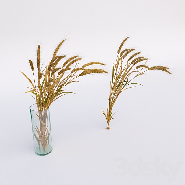 Wheat 3DS Max Model - thumbnail 2