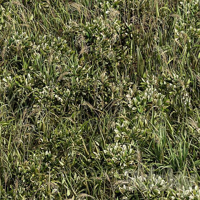 Wild Grass Green – Grass Set 01 3DS Max Model - thumbnail 4