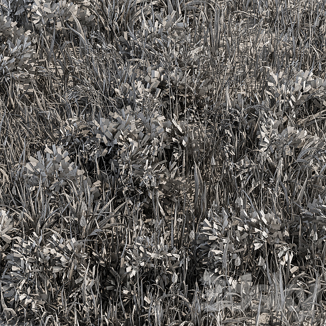 Wild Grass Green – Grass Set 01 3DS Max Model - thumbnail 5