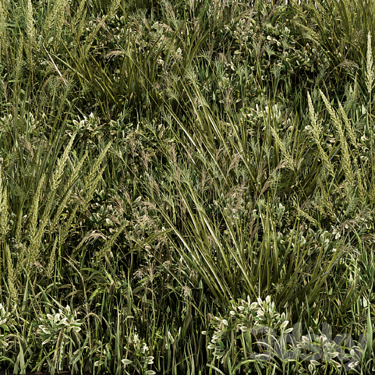 Wild Grass Green – Grass Set 03 3DS Max - thumbnail 1