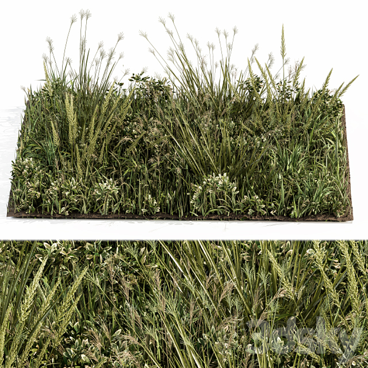 Wild Grass Green – Grass Set 03 3DS Max - thumbnail 2