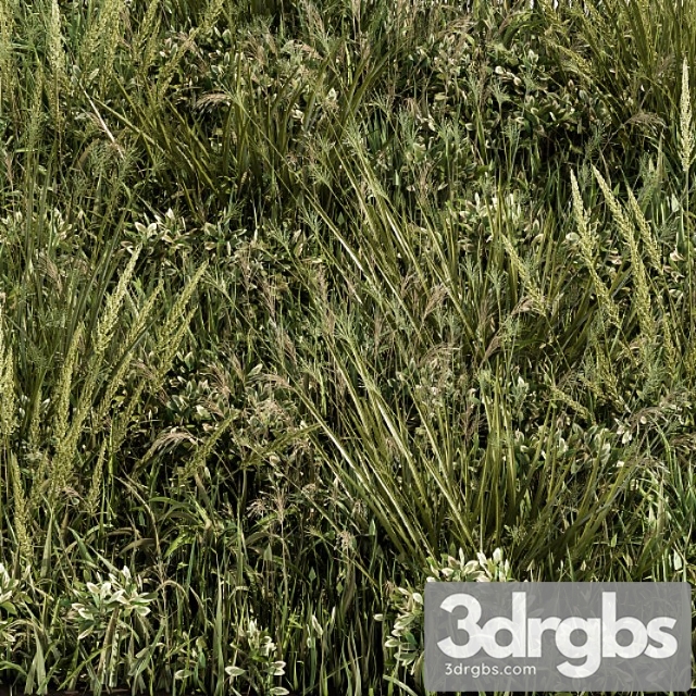 Wild grass green – grass set 03 - thumbnail 1