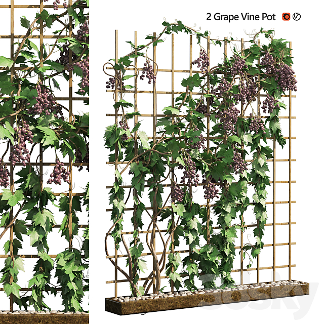 2 Grapevine low and med poly 3ds Max - thumbnail 1