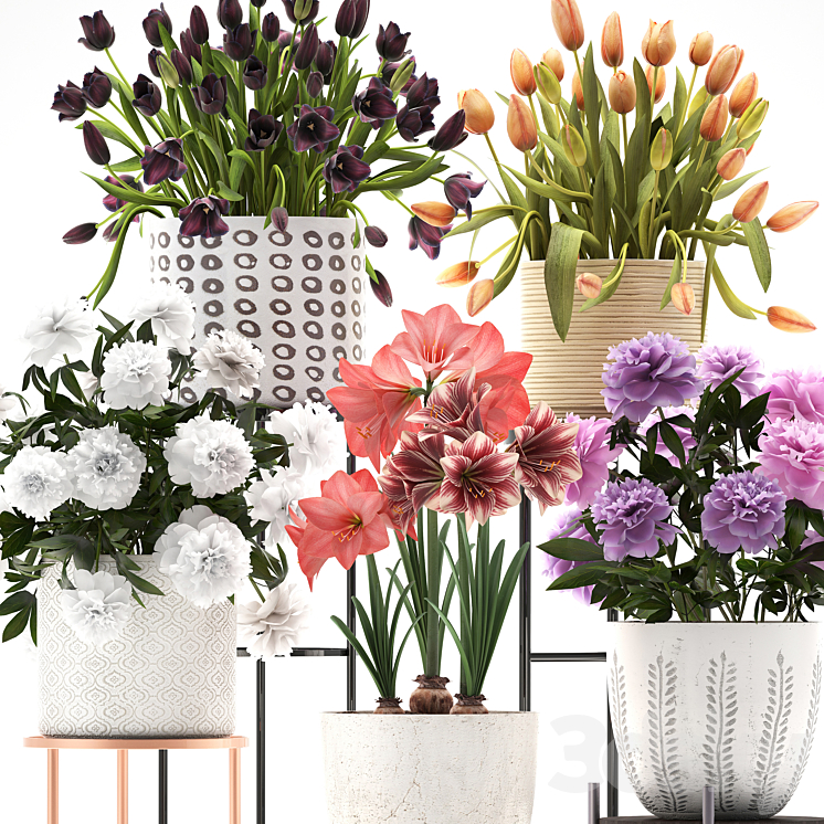 335 plant collection. Stand Peony Tulip Hippeastrum bouquet set garden flowers flower shelf stand Scandinavian style 3DS Max - thumbnail 2