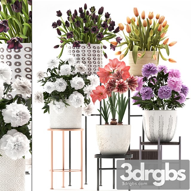 335 plant collection. stand, peony, tulip, hippeastrum, bouquet set, garden flowers, flower shelf, stand, scandinavian style - thumbnail 1