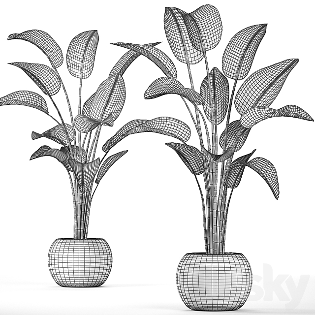 A beautiful decorative lush Strelitzia flower in a round rattan basket. Set 456. 3DS Max Model - thumbnail 5