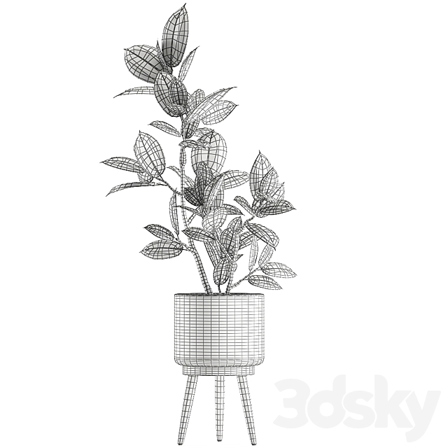 A beautiful little tree indoor ficus elastic in a basket rattan on legs. Set 607. 3DS Max Model - thumbnail 5