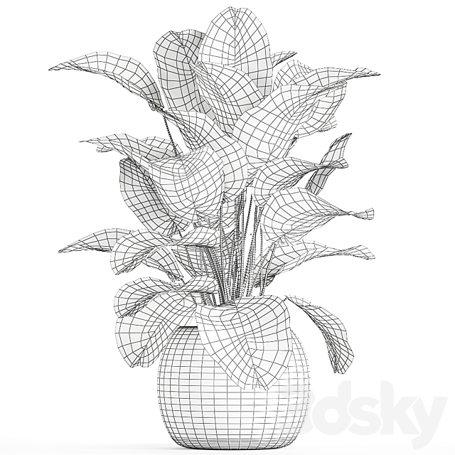 A beautiful lush bush of an exotic plant in a round basket of Kalatea lutea. 753. 3DSMax File - thumbnail 5