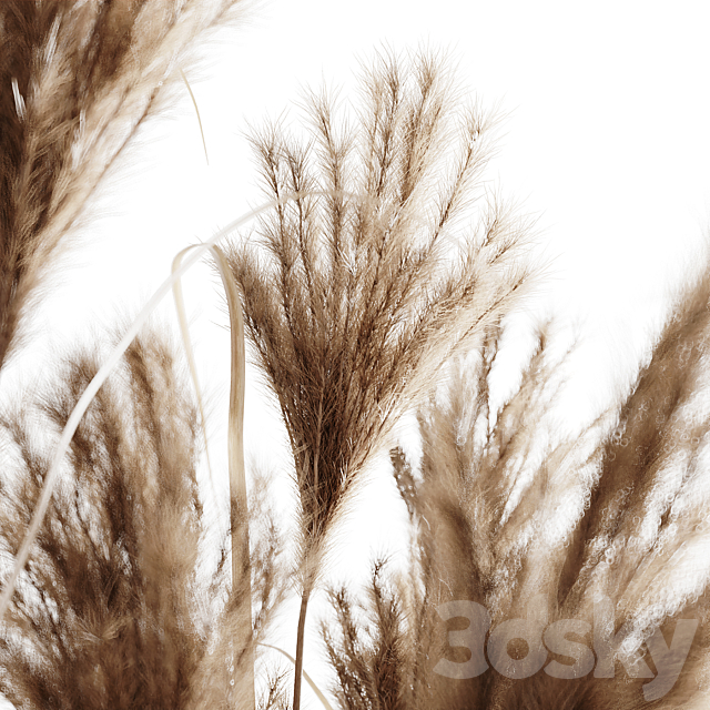 A bunch of Pampas 7 3DSMax File - thumbnail 2