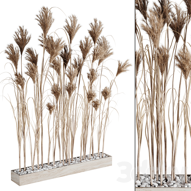 A bunch of Pampas 7 3DSMax File - thumbnail 3