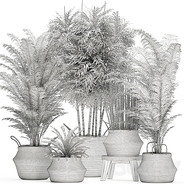 A collection of beautiful lush plants in white baskets with handles with thickets palm bamboo cicada horsetail. Set 489. 3DS Max Model - thumbnail 5