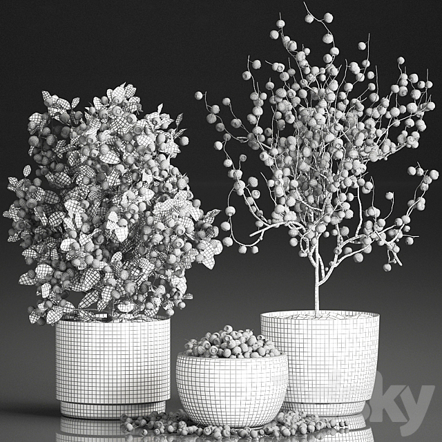 A collection of bouquets of branches with blueberries in black vases with blueberries a bowl with berries a blueberry bush. Set 548. 3DS Max Model - thumbnail 5