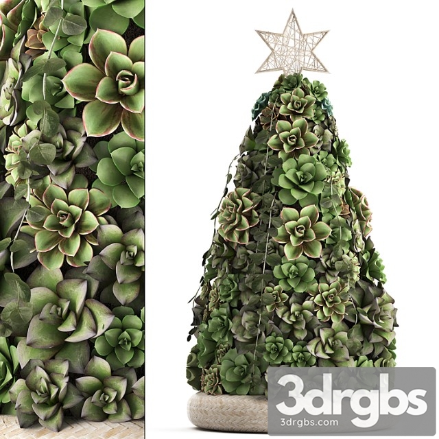 A collection of plants in a composition of succulents, christmas tree, cake, echeveria, decoration for the new year. set 420. - thumbnail 1