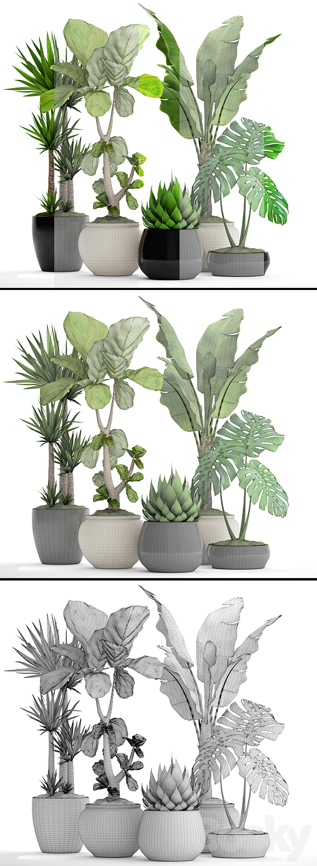 A collection of plants in pots. 45. Banana palm. Lyre ficus. Agave. Yucca. Monstera. ornamental plants. flowerpot. pot. flower 3DSMax File - thumbnail 3