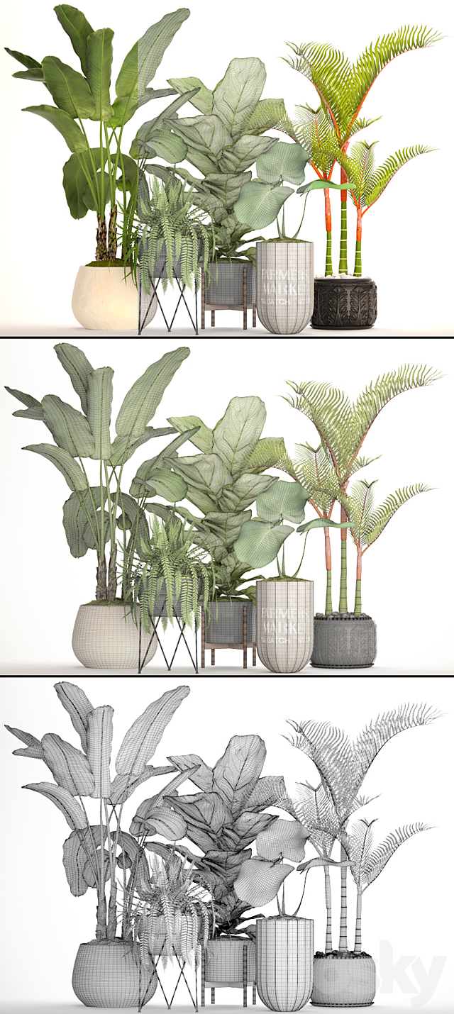 A collection of plants in pots. 48. Tropical Plants. Banana Palm. Fern. Lyre Ficus. Banana Palm. Fern. Concrete Pot. Flowerpot. Dipsis. Bush 3DSMax File - thumbnail 3