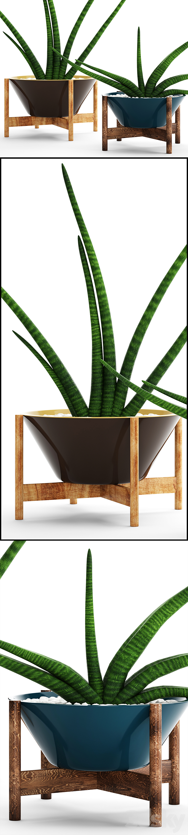 A collection of plants in pots. 64 Sansevieria pot flower flowerpot decorative 3DS Max - thumbnail 2